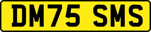 DM75SMS