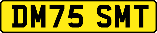 DM75SMT