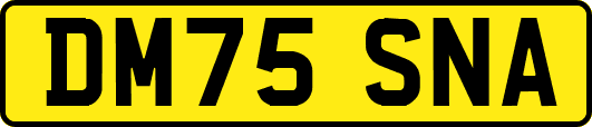 DM75SNA