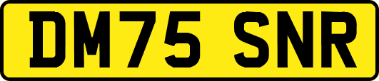 DM75SNR