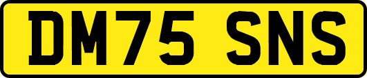 DM75SNS