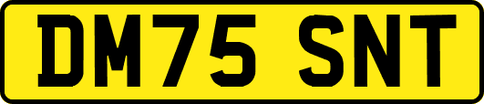 DM75SNT