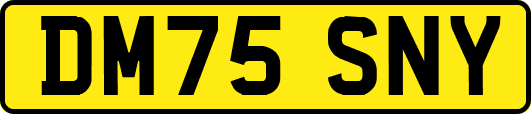 DM75SNY