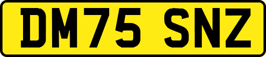 DM75SNZ