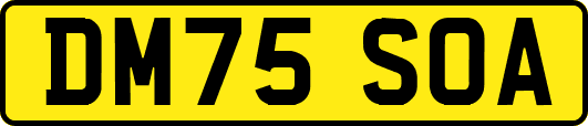 DM75SOA