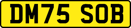 DM75SOB