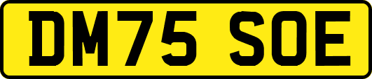 DM75SOE