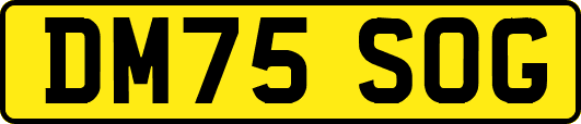 DM75SOG