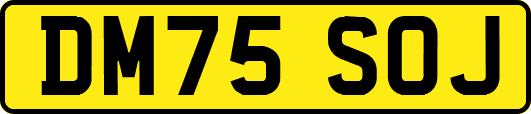 DM75SOJ