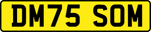 DM75SOM