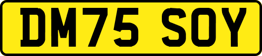 DM75SOY