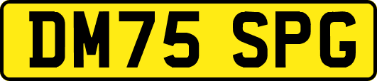 DM75SPG
