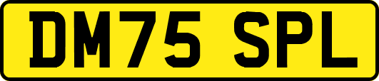 DM75SPL