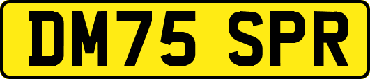 DM75SPR