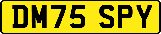 DM75SPY