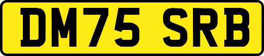 DM75SRB