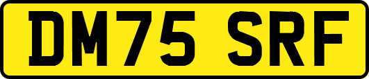 DM75SRF