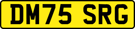 DM75SRG