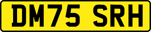 DM75SRH