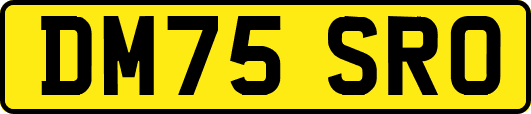 DM75SRO