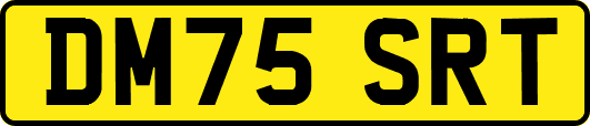 DM75SRT
