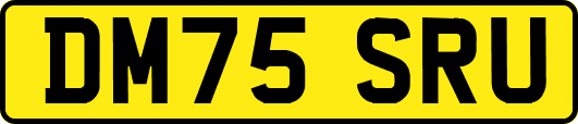 DM75SRU