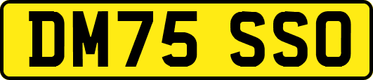 DM75SSO