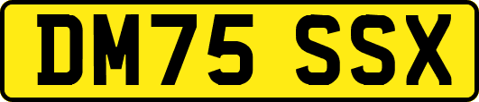 DM75SSX