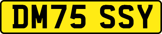 DM75SSY