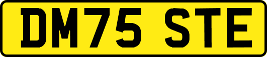 DM75STE
