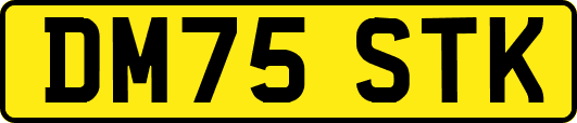 DM75STK