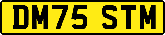 DM75STM