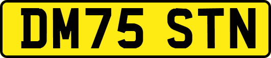 DM75STN
