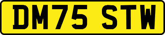 DM75STW