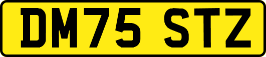 DM75STZ