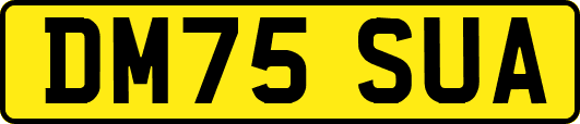 DM75SUA