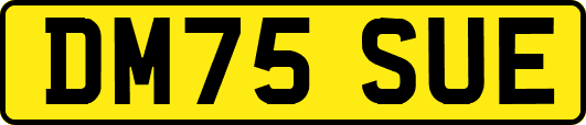 DM75SUE