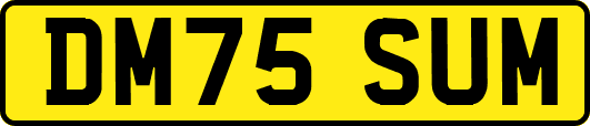 DM75SUM