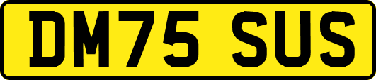 DM75SUS