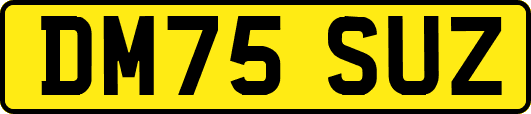 DM75SUZ