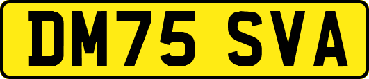 DM75SVA