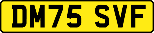 DM75SVF