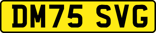 DM75SVG