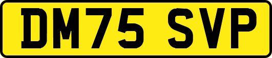 DM75SVP
