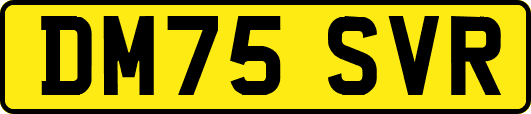 DM75SVR