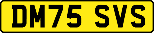 DM75SVS