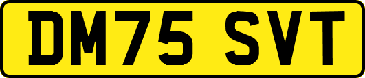 DM75SVT