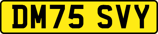 DM75SVY