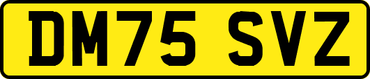DM75SVZ