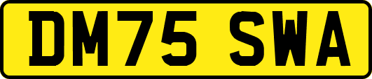 DM75SWA